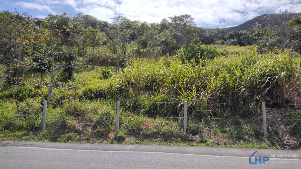 Terreno para Venda no bairro Pântano do Sul