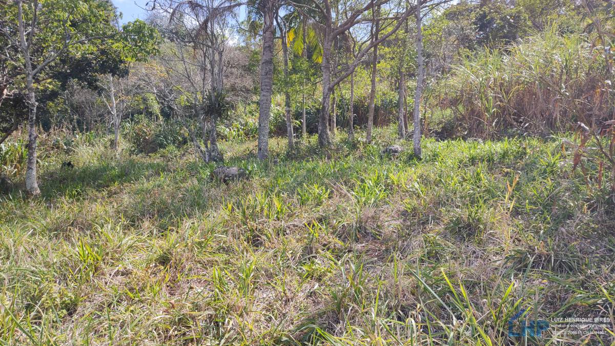 Terreno para Venda no bairro Pântano do Sul