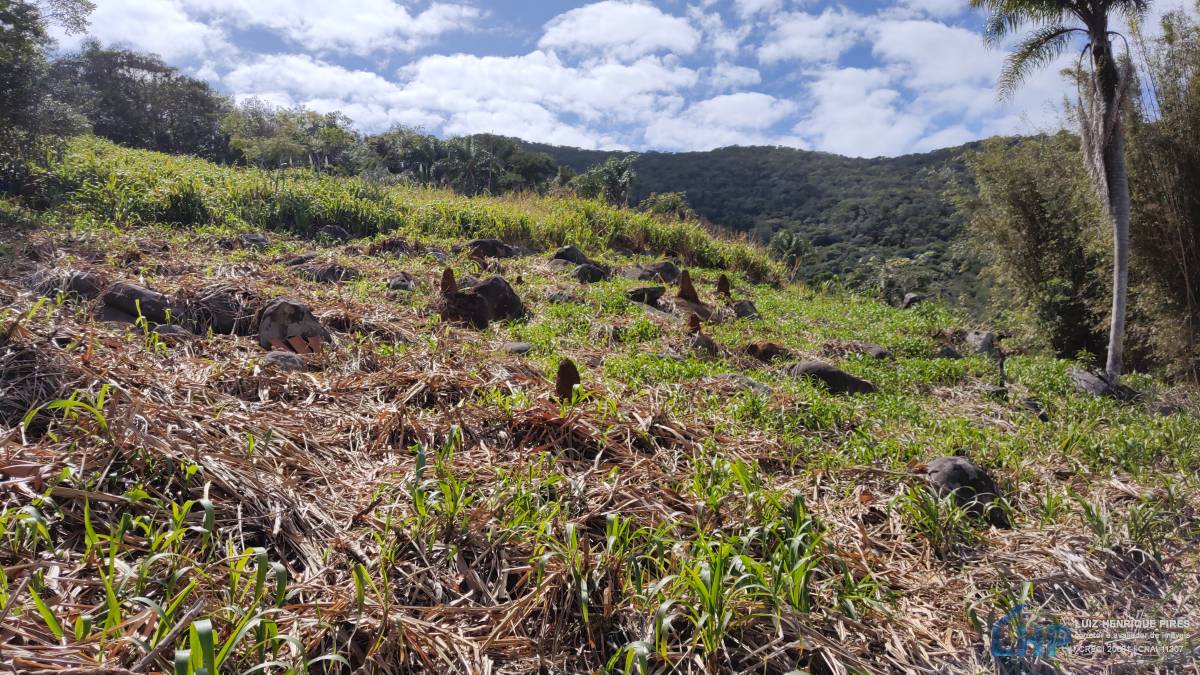 Terreno para Venda no bairro Pântano do Sul
