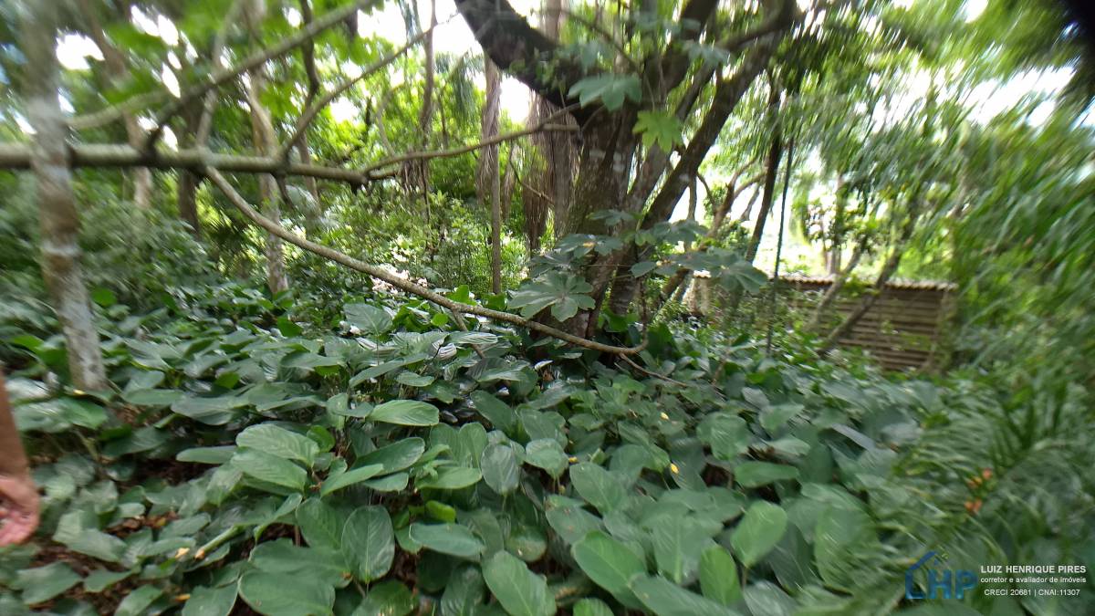 Casa para Venda no bairro Armação do Pântano Sul