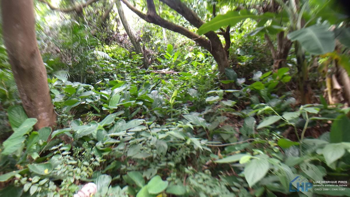 Casa para Venda no bairro Armação do Pântano Sul