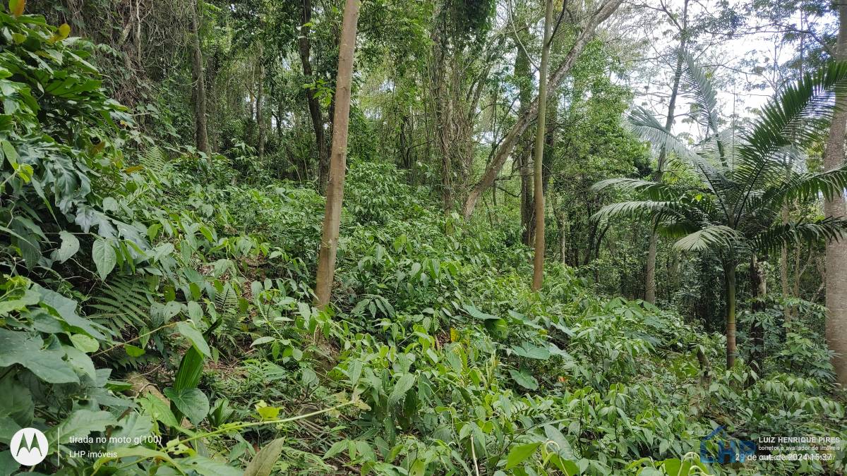 Terreno para Venda no bairro Lagoa da Conceição