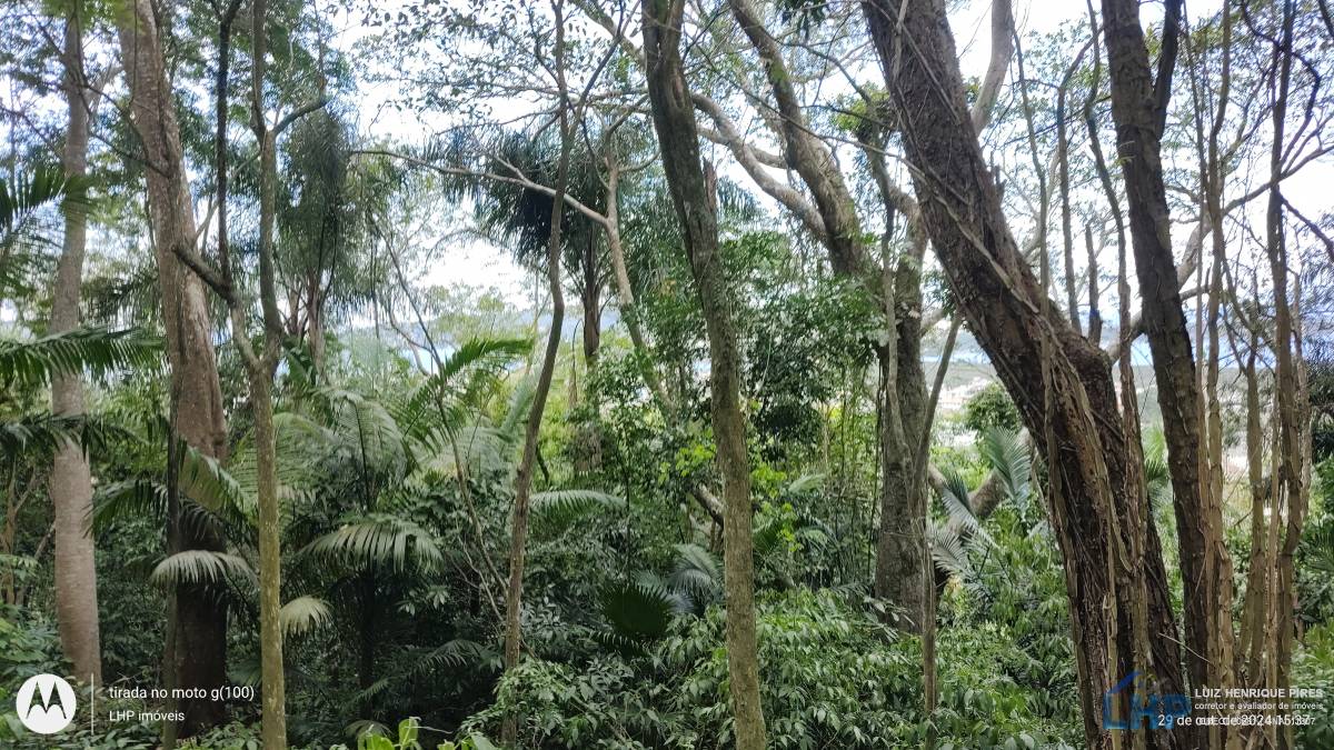 Terreno para Venda no bairro Lagoa da Conceição