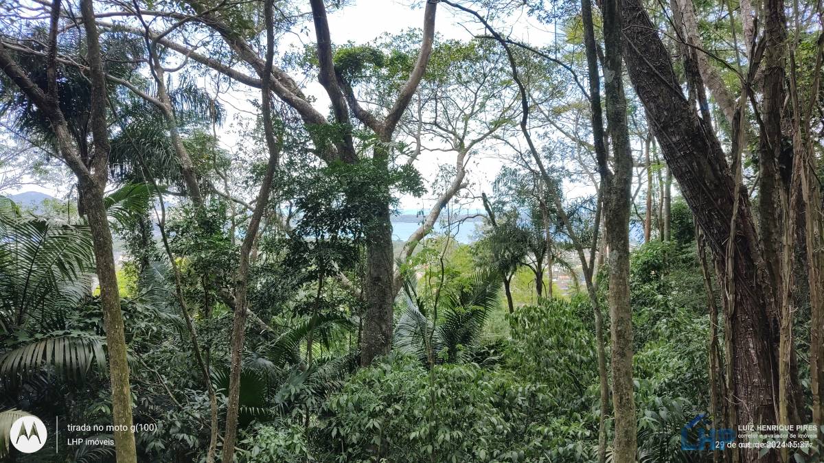 Terreno para Venda no bairro Lagoa da Conceição