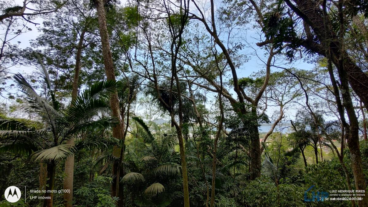 Terreno para Venda no bairro Lagoa da Conceição