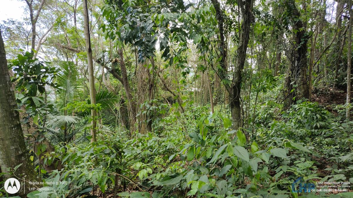 Terreno para Venda no bairro Lagoa da Conceição
