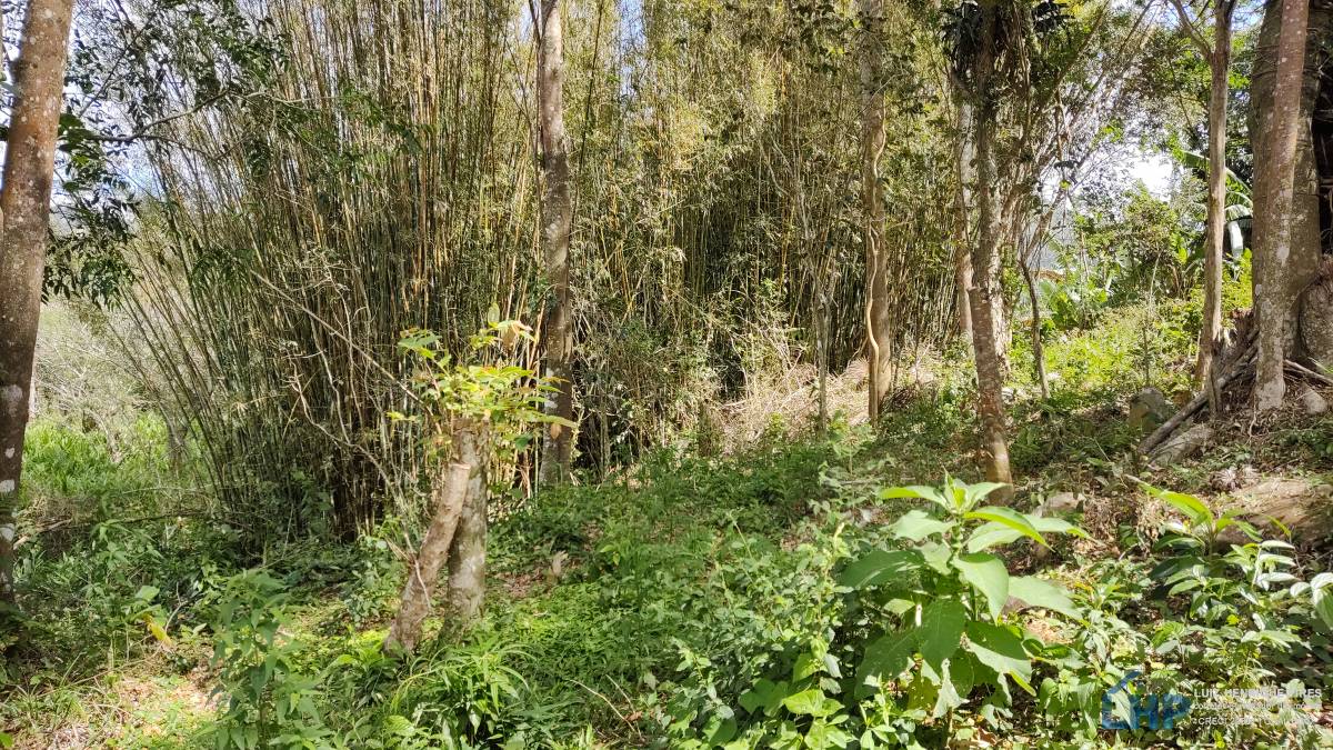Terreno para Venda no bairro Pântano do Sul