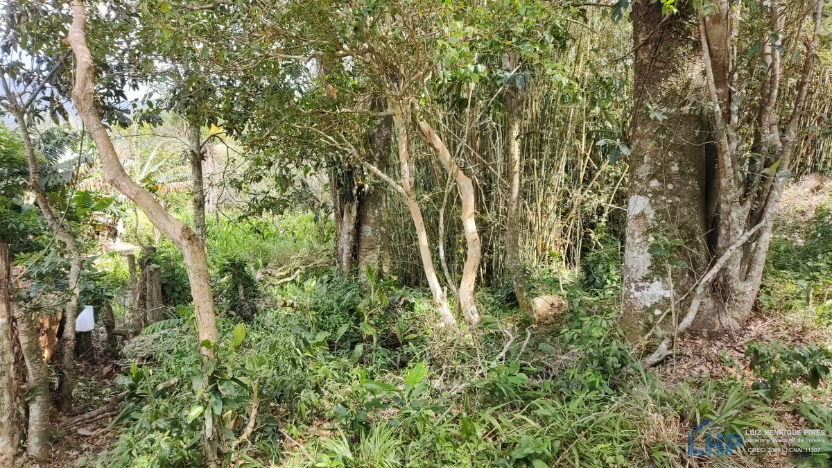 Terreno para Venda no bairro Pântano do Sul