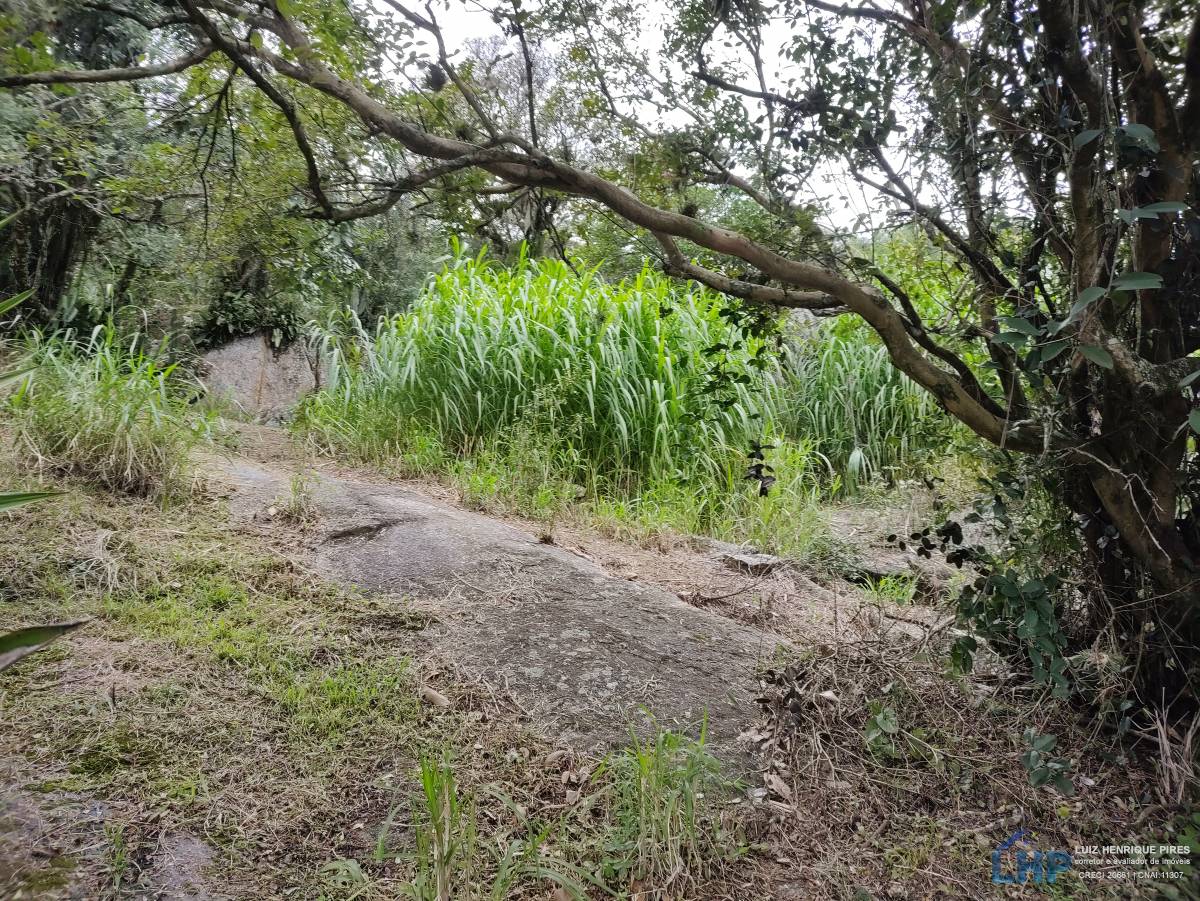 Terreno para Venda no bairro Costeira do Ribeirão