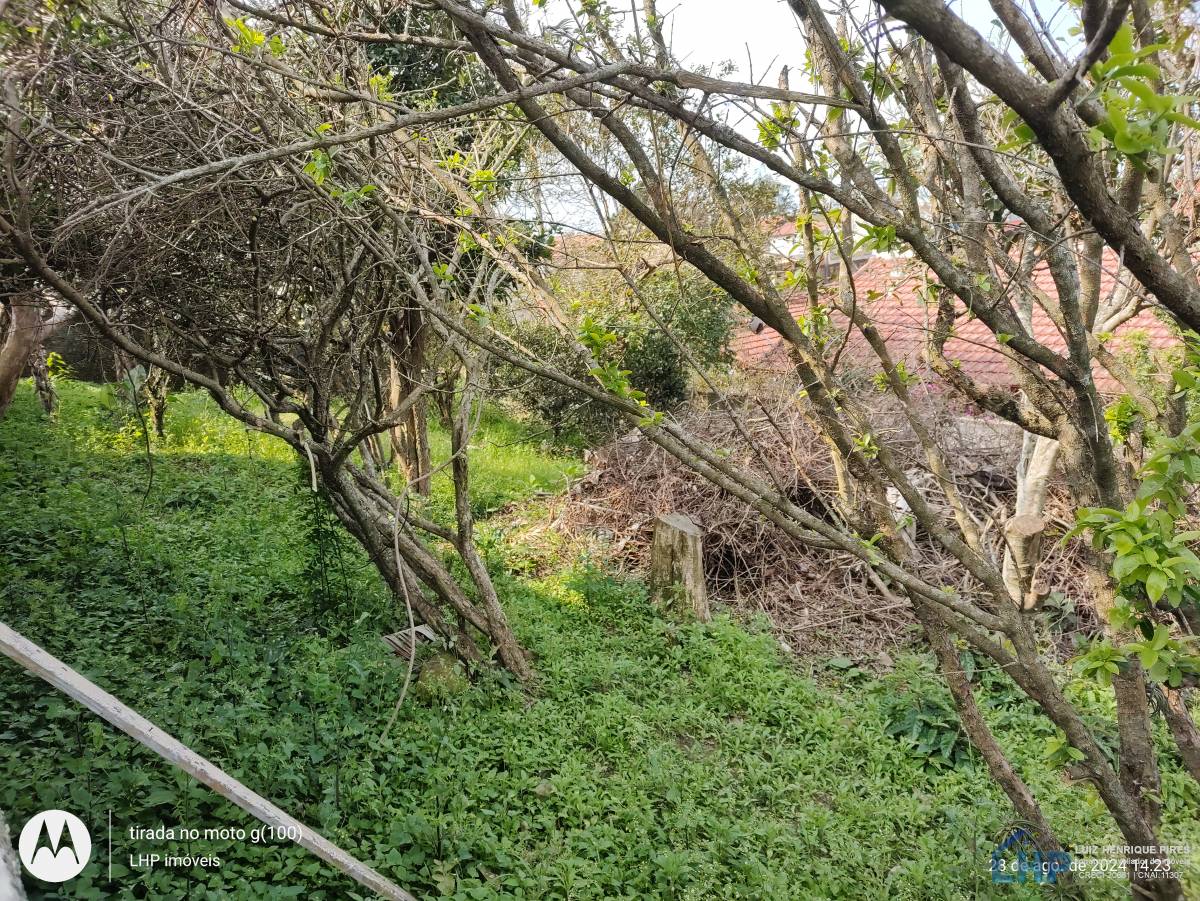 Terreno para Venda no bairro Armação do Pântano Sul