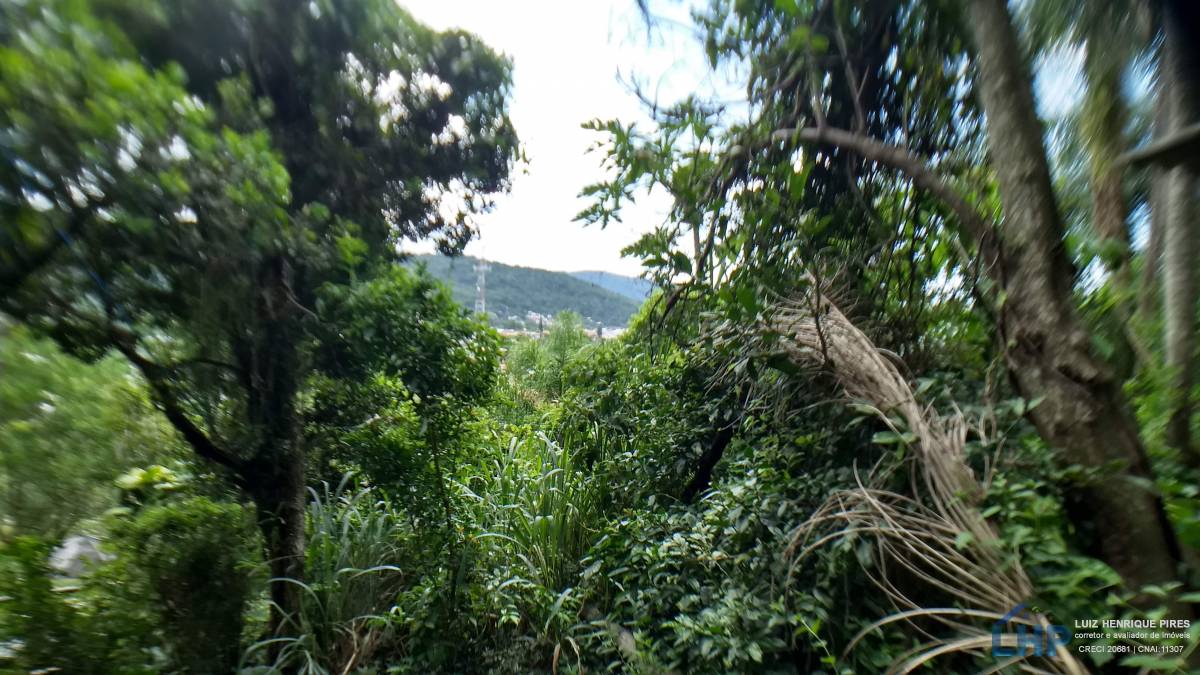 Terreno para Venda no bairro Armação do Pântano Sul