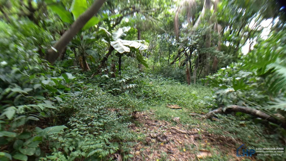 Terreno para Venda no bairro Armação do Pântano Sul