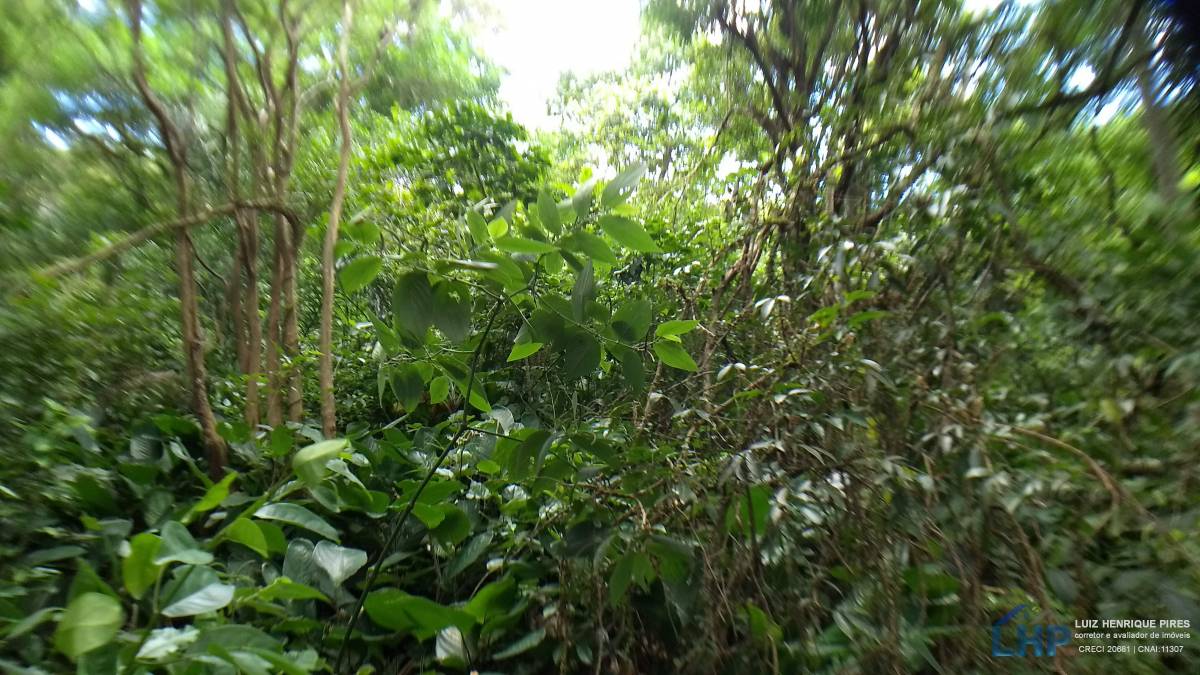 Terreno para Venda no bairro Armação do Pântano Sul