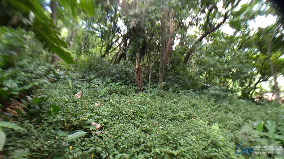 Terreno para Venda no bairro Armação do Pântano Sul