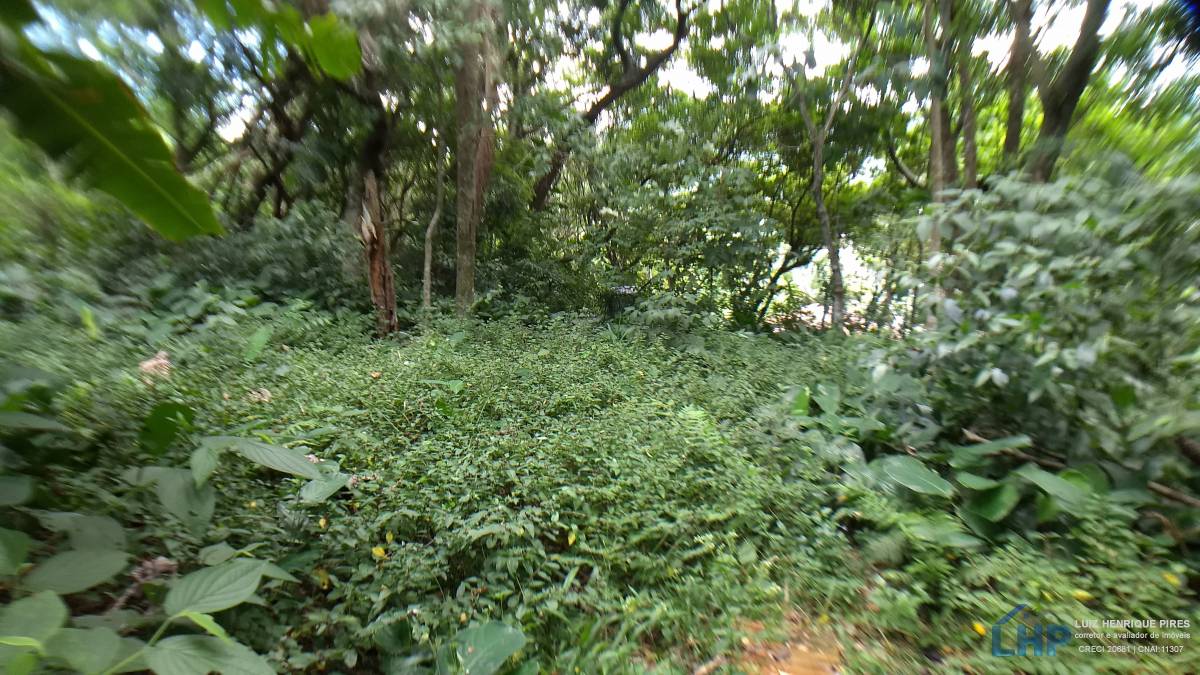 Terreno para Venda no bairro Armação do Pântano Sul